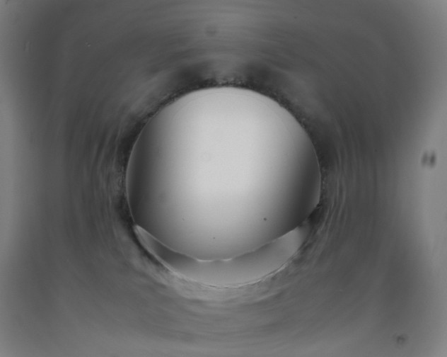 X0000092240039200709281133