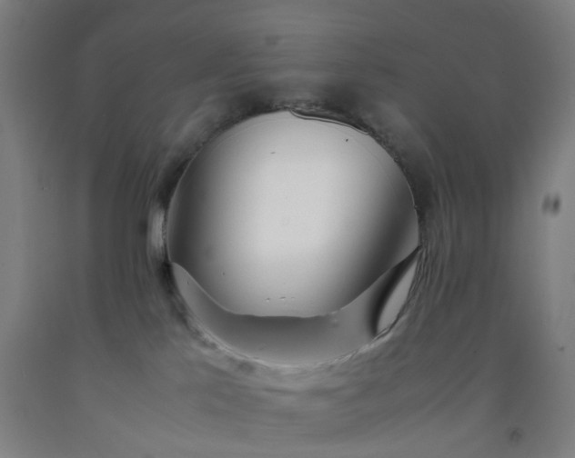 X0000092240041200709281133