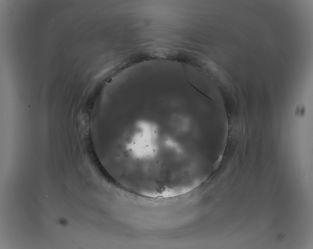 X0000092240043200709281133