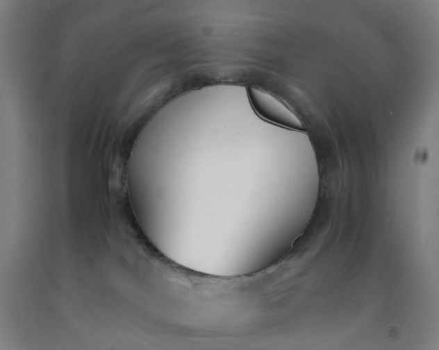 X0000092240044200709281133