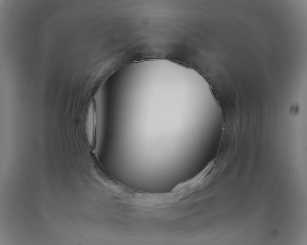 X0000092240045200709281133