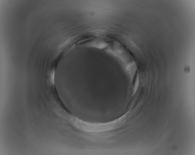 X0000092240047200709281133