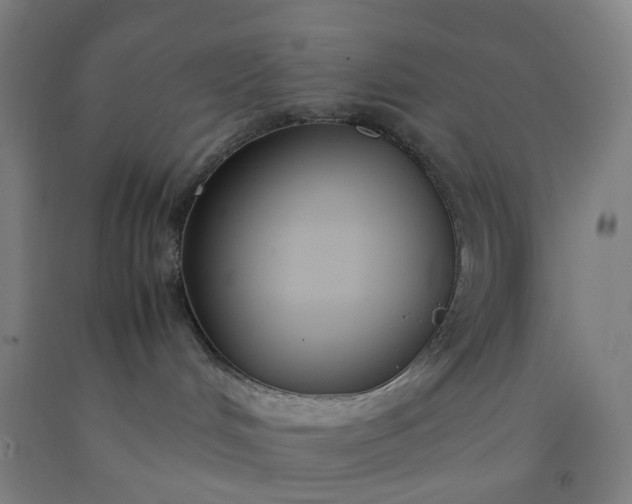 X0000092240048200709281133