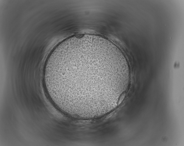 X0000092240049200709281132