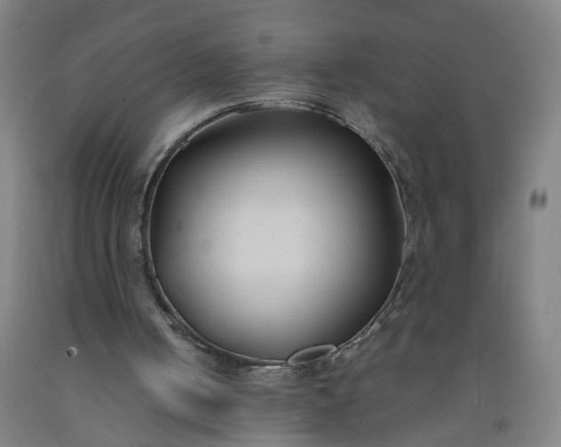 X0000092240050200709281132