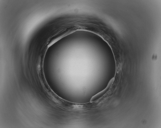 X0000092240052200709281132