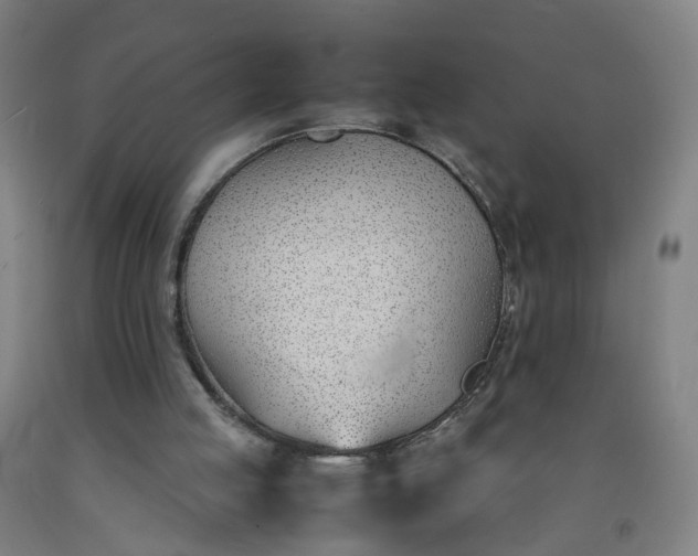 X0000092240053200709281132