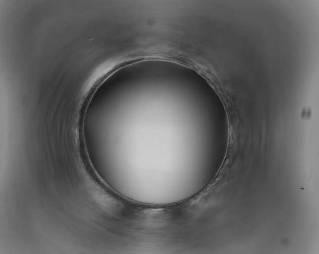 X0000092240054200709281132