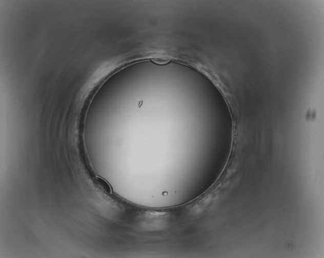 X0000092240055200709281132