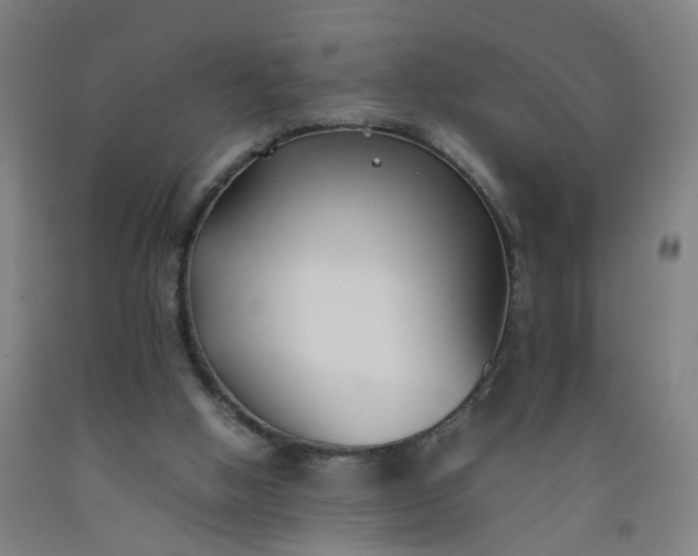 X0000092240058200709281132