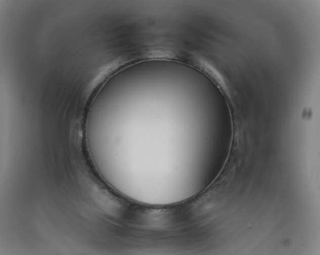 X0000092240059200709281132