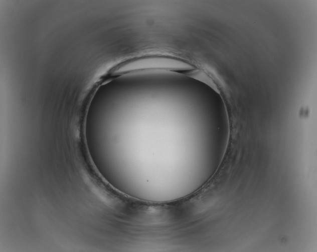 X0000092240060200709281132