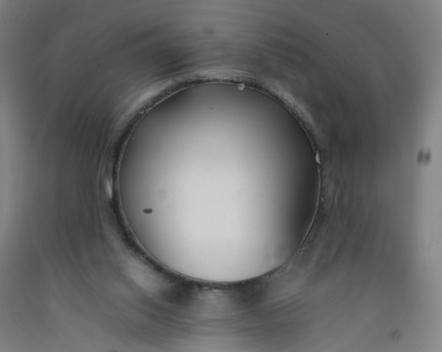 X0000092240062200709281132