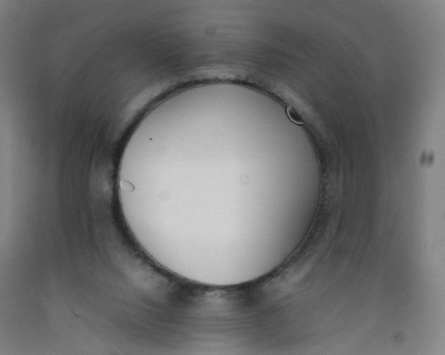 X0000092240064200709281132