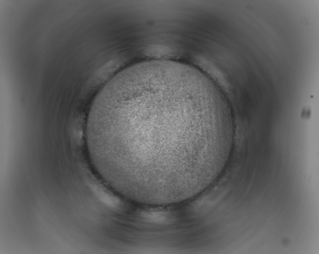 X0000092240065200709281132