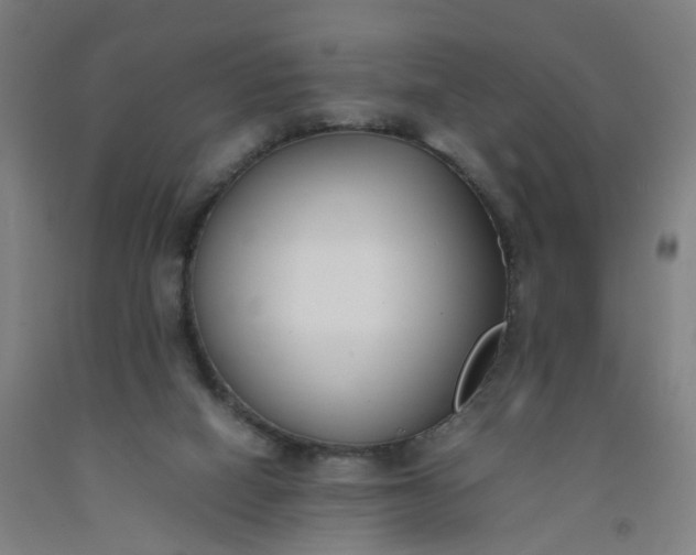 X0000092240066200709281132