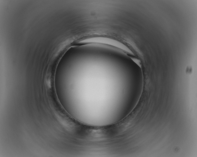 X0000092240068200709281132