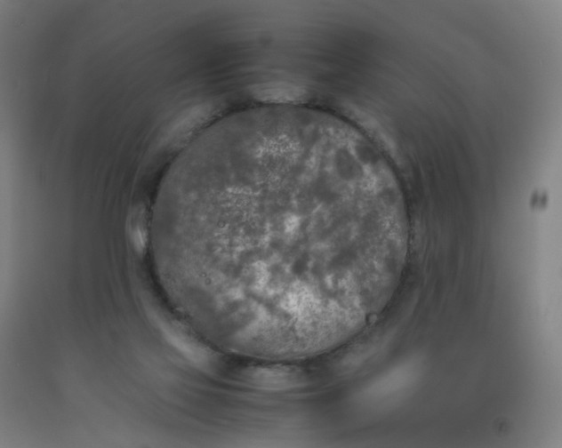 X0000092240069200709281132