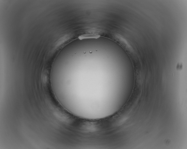 X0000092240071200709281132