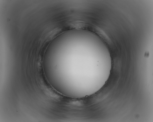 X0000092240073200709281132