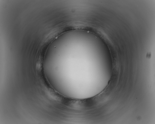 X0000092240074200709281132