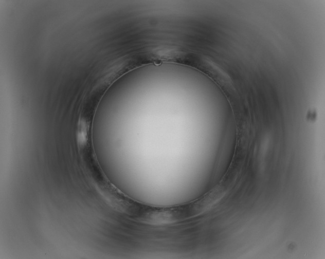 X0000092240075200709281132