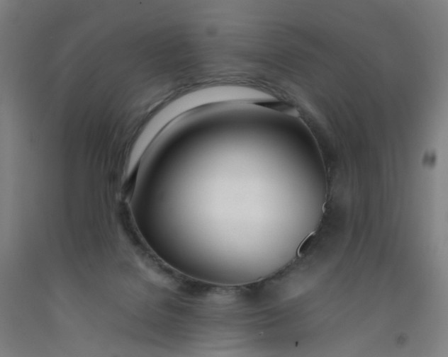 X0000092240076200709281132