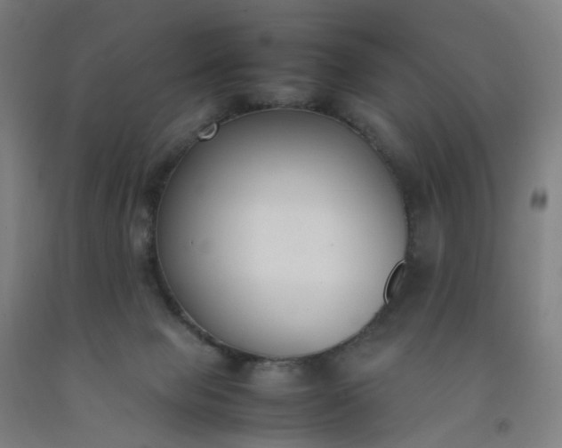 X0000092240077200709281132