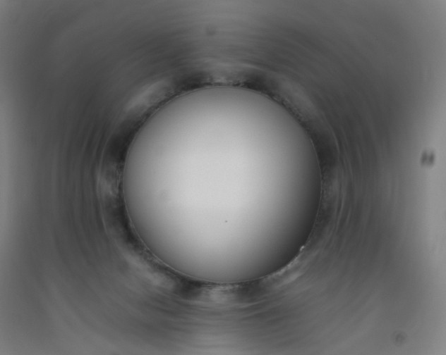 X0000092240078200709281132