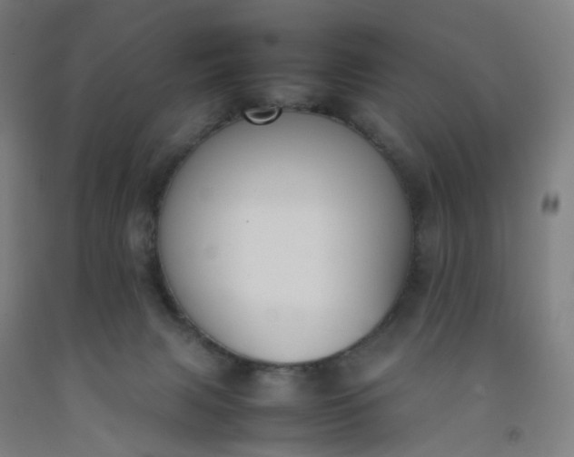 X0000092240079200709281132