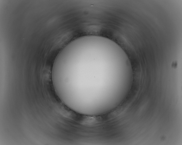 X0000092240083200709281132