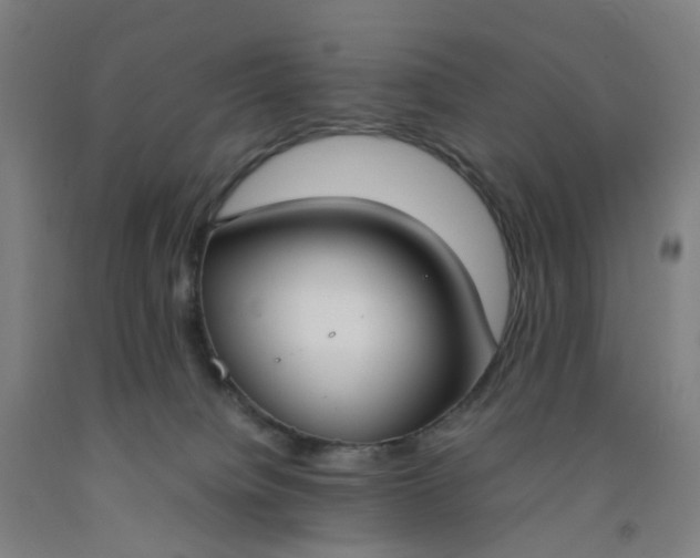 X0000092240084200709281132