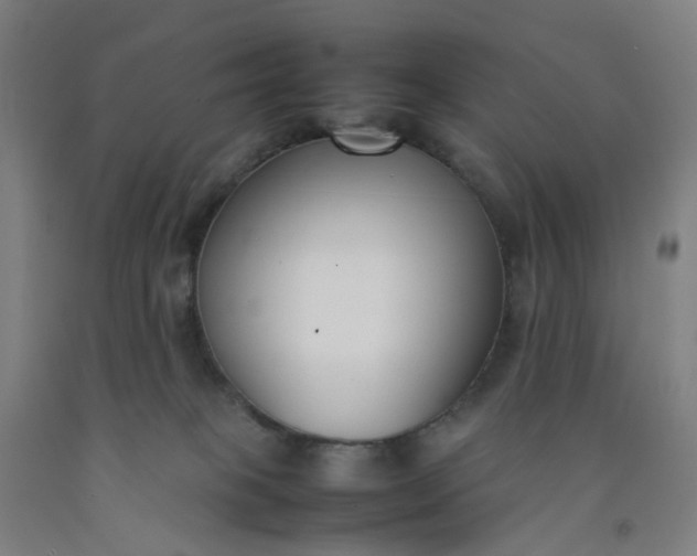 X0000092240085200709281132