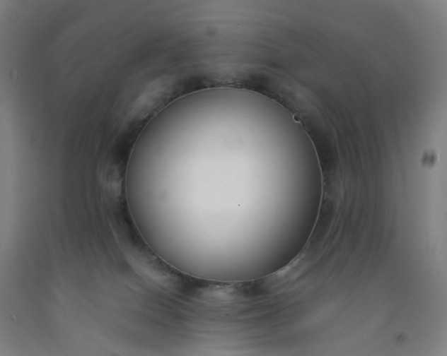 X0000092240086200709281132