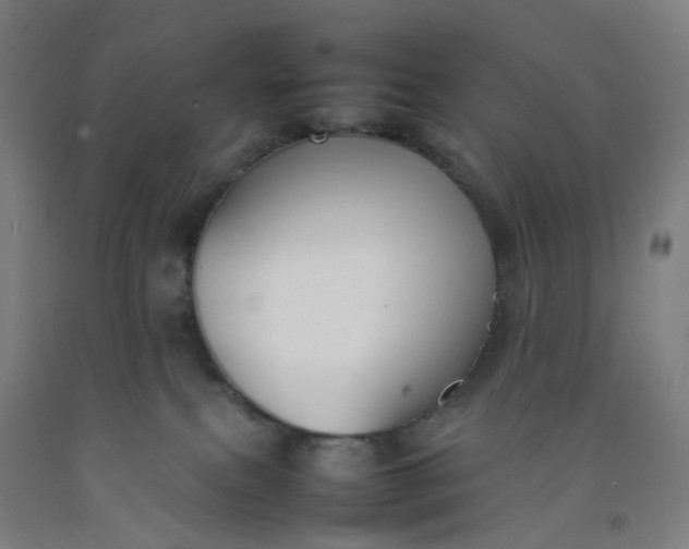 X0000092240087200709281132