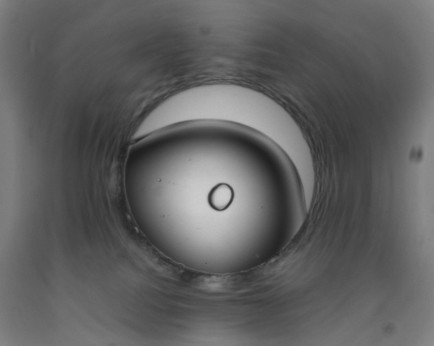 X0000092240088200709281132