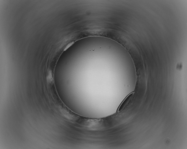 X0000092240089200709281132