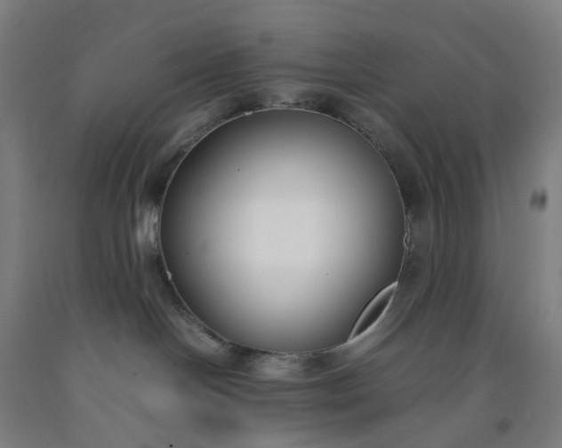 X0000092240094200709281132