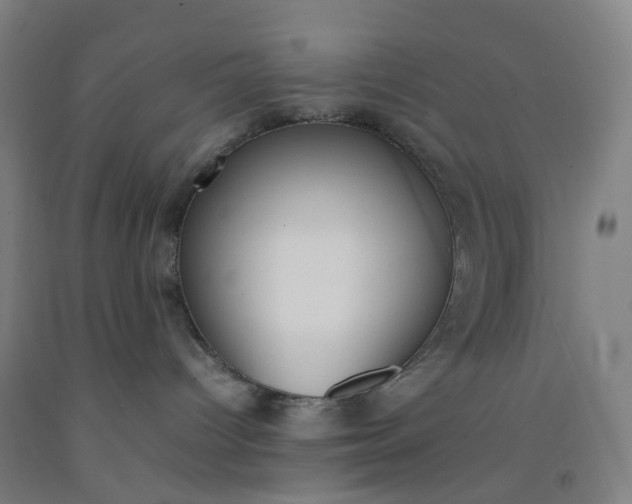 X0000092240096200709281133