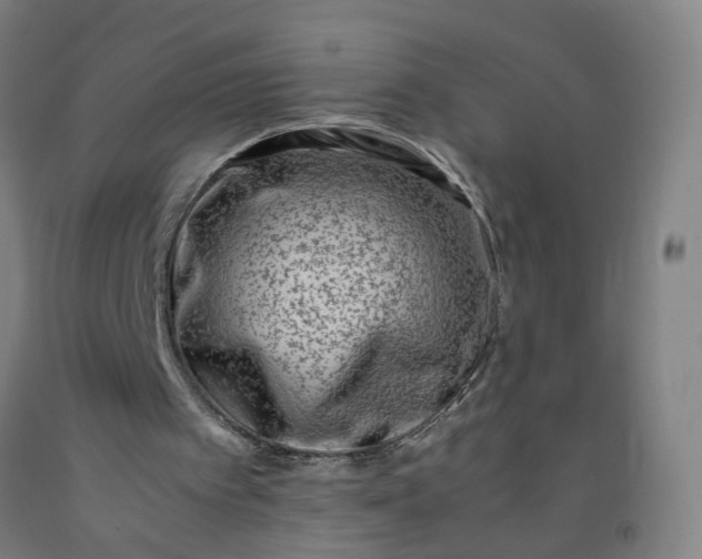 X0000092240097200709281132