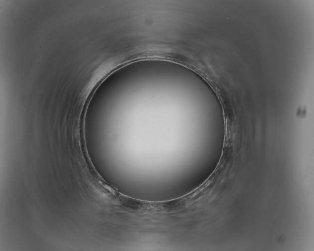 X0000092240099200709281132