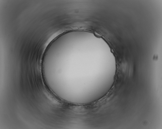 X0000092240100200709281132