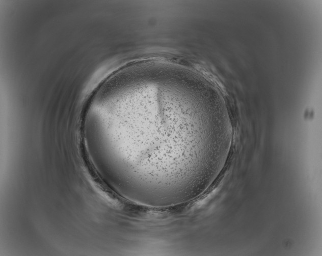 X0000092240101200709281132