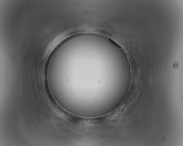 X0000092240103200709281132