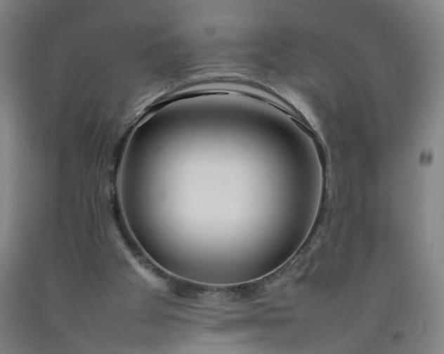 X0000092240105200709281132