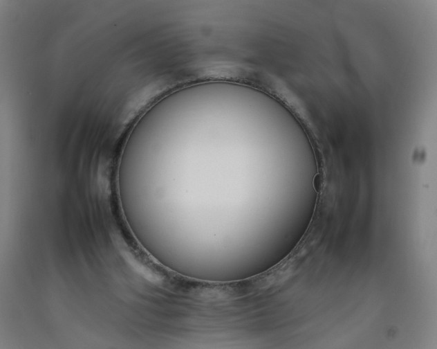 X0000092240106200709281132