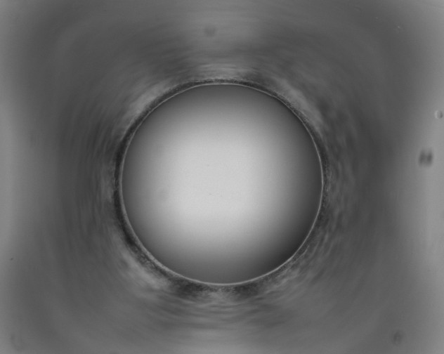 X0000092240107200709281132