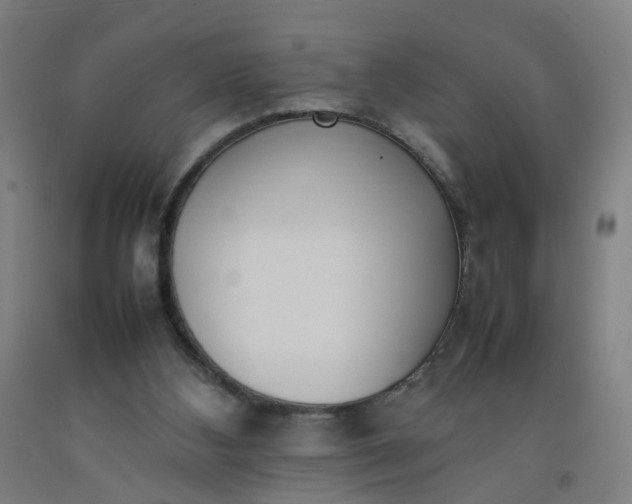 X0000092240108200709281132