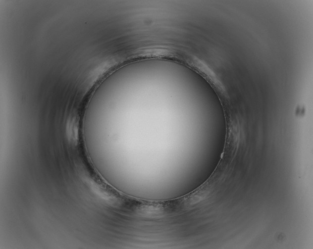 X0000092240110200709281132