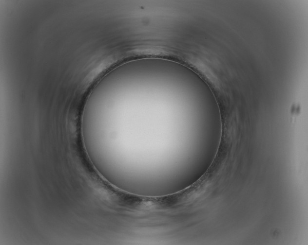 X0000092240111200709281132